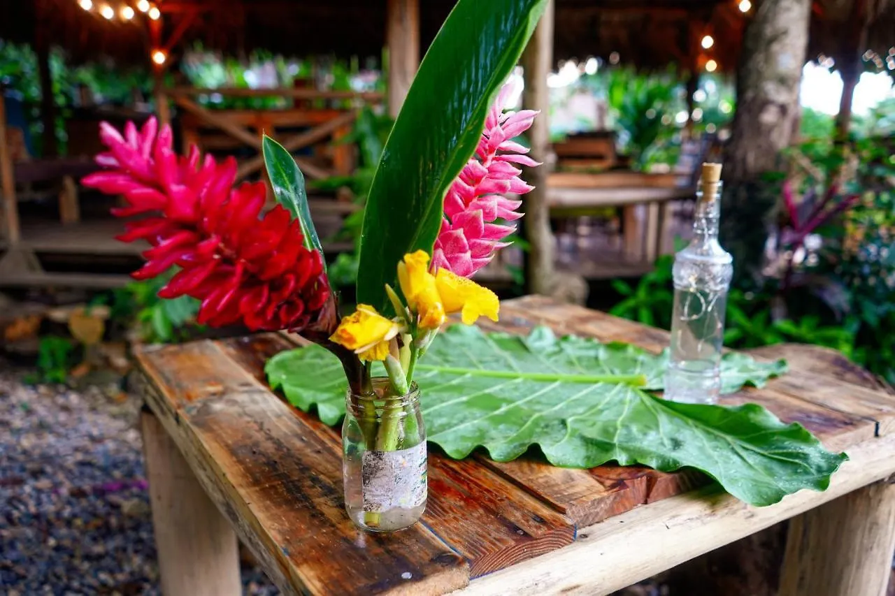 Samana Ecolodge El Limon Hostel