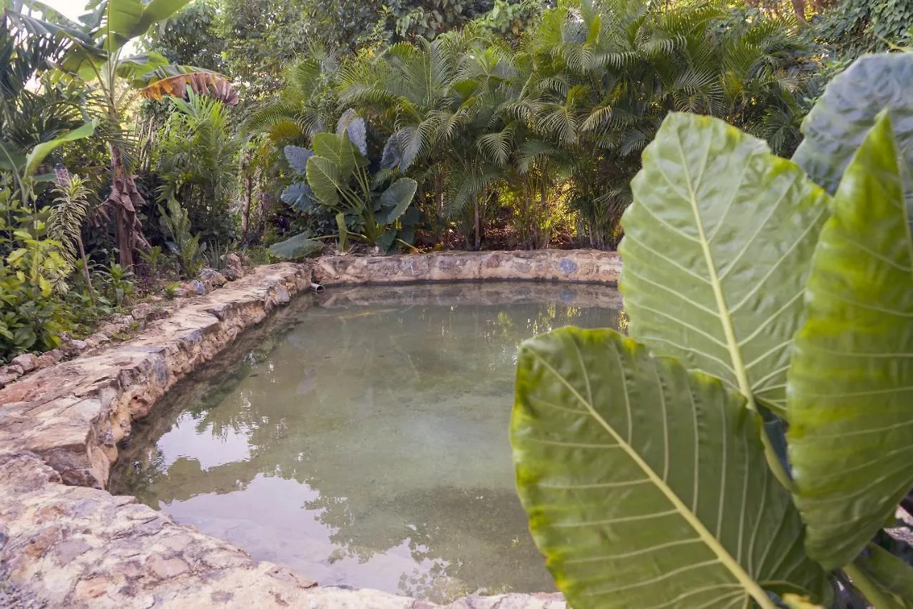 Samana Ecolodge El Limon Hostal