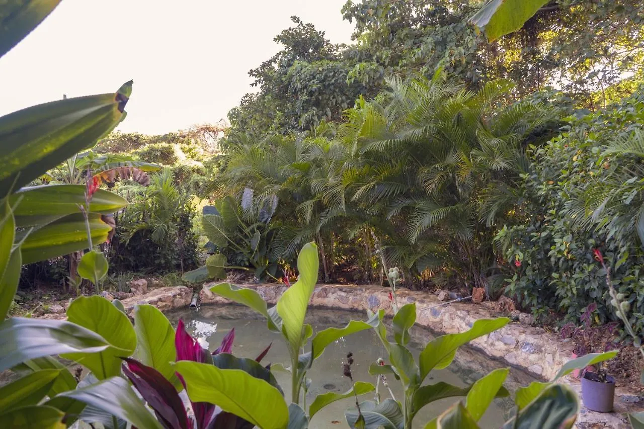 Samana Ecolodge El Limon Hostel